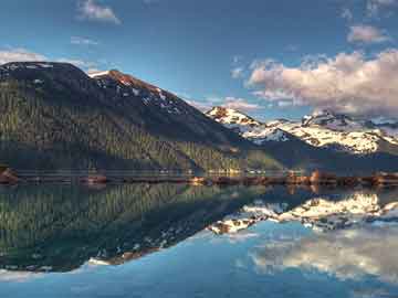 打胎的药应该怎么购买打胎的药功效和作用（打胎的药叫什么名字 多少钱）